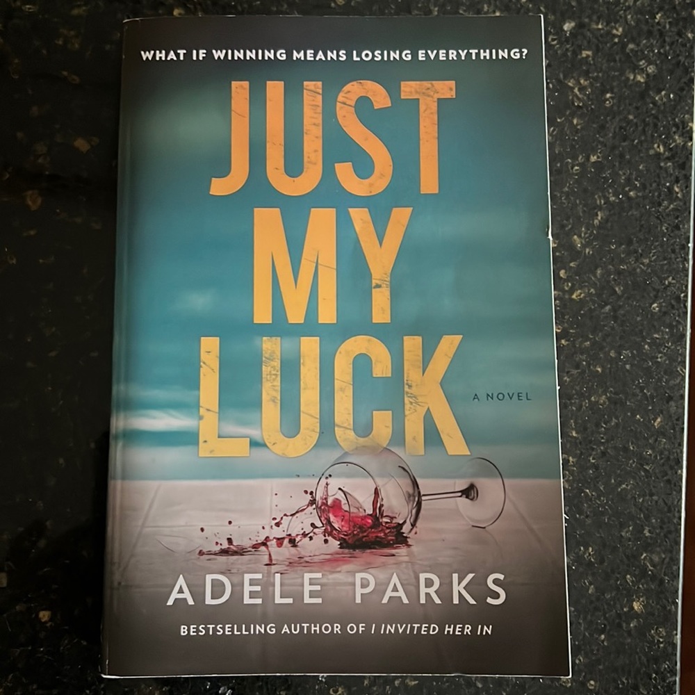 Book. JUST MY LUCK by Adele Parks